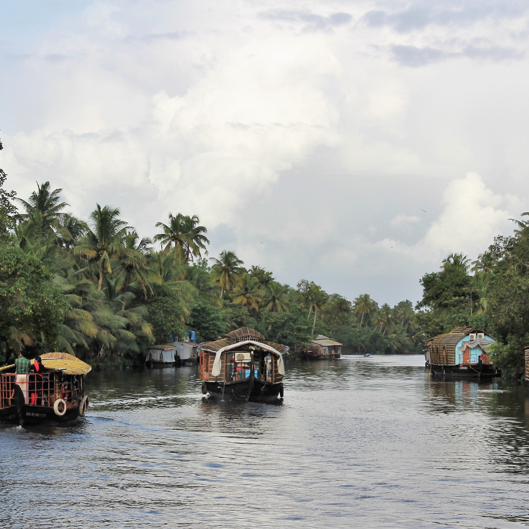 Day 4: Thekkady To Alleppey (The Backwater Capital of India)