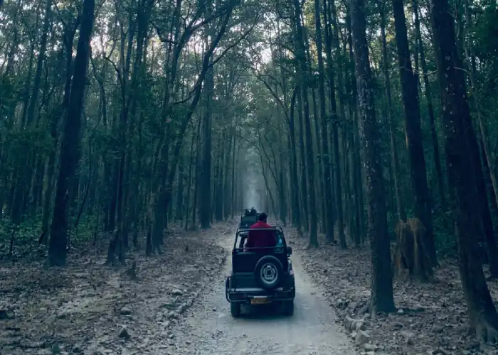 1 N/ 2 D Jim Corbett package