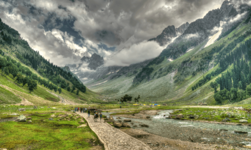 6N/7D Manali & Shimla Package By Volvo