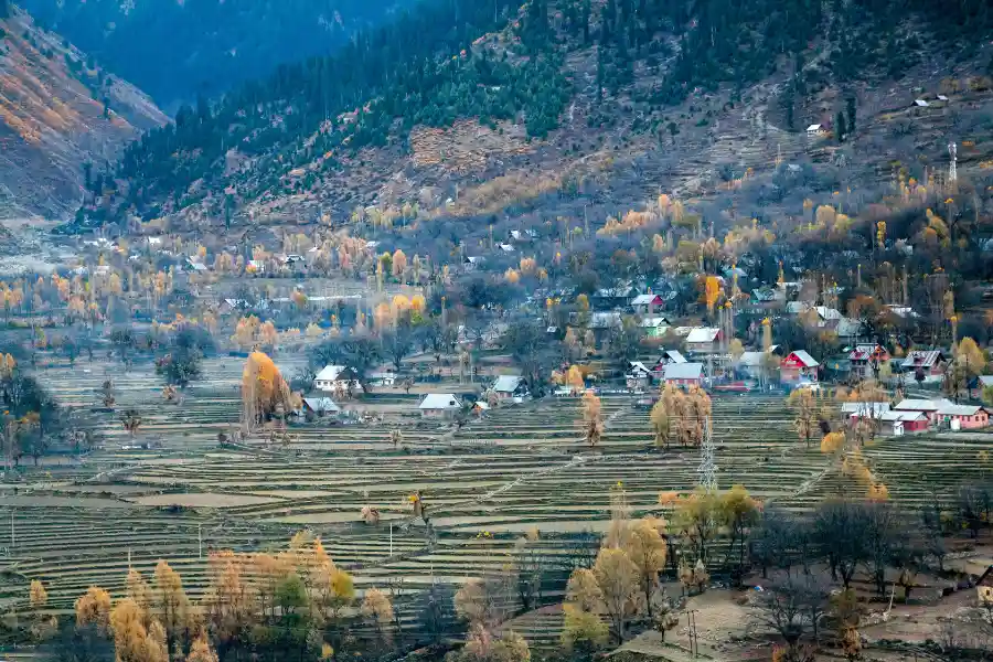 5N/ 6D Kashmir Package