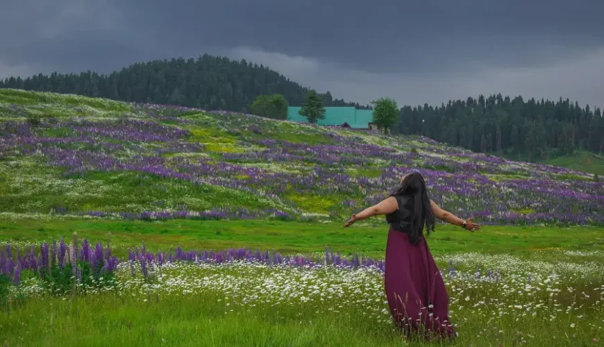 Srinagar