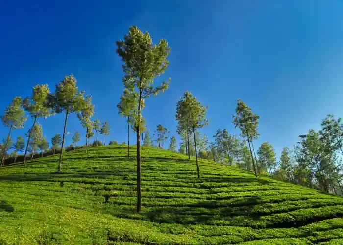 5N/6D KERALA PACKAGE