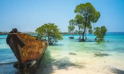 5N & 6D Exotic Andaman Holiday