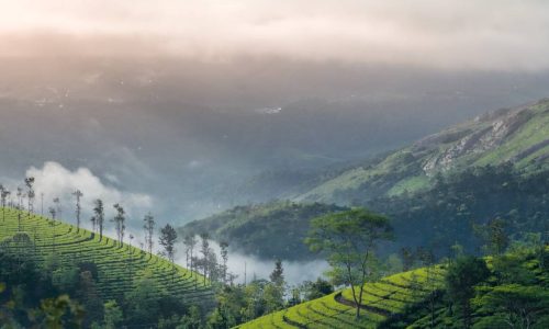 3N/4D KERALA PACKAGE