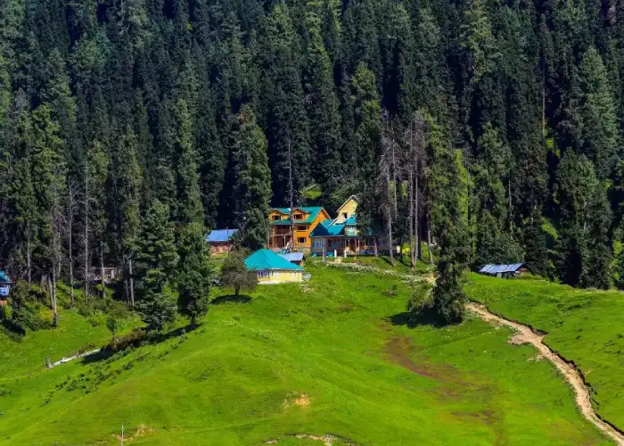 3N/4D Kashmir Package