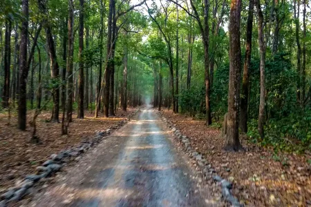 Things you must know before planning to visit Jim Corbett National Park!
