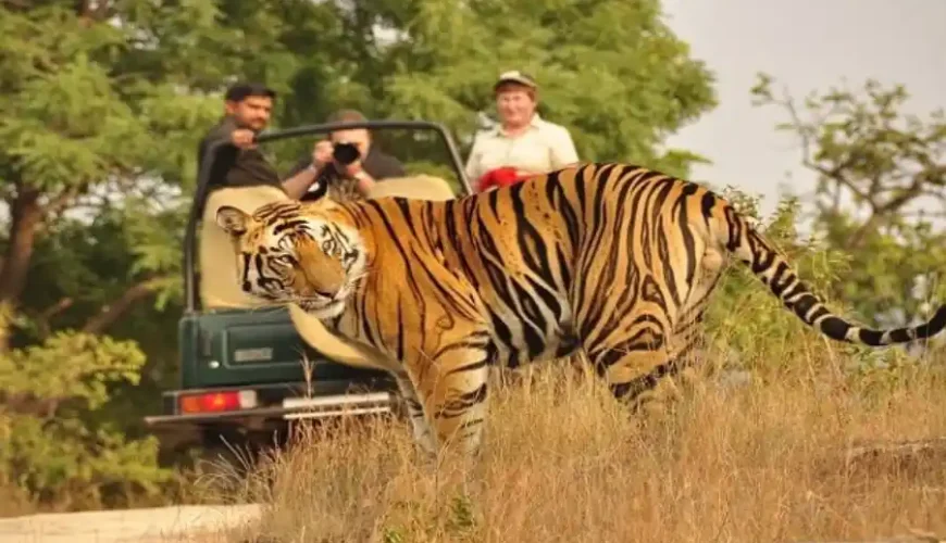 WAY BEYOND TO EXPLORE: JIM CORBETT