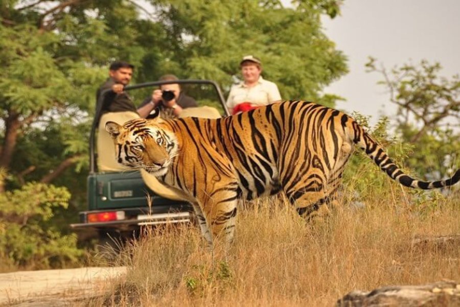 WAY BEYOND TO EXPLORE: JIM CORBETT