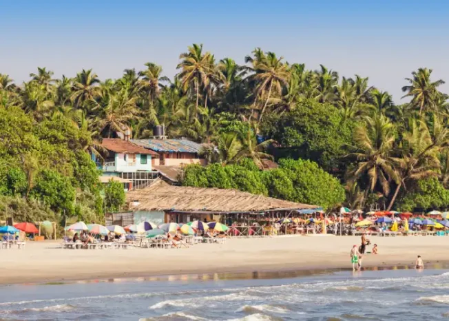 2N & 3N Fantastic Goa Tour