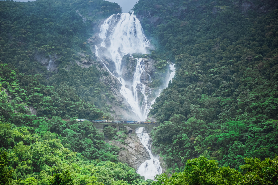 day 02: Excursion to Dudhsagar Falls