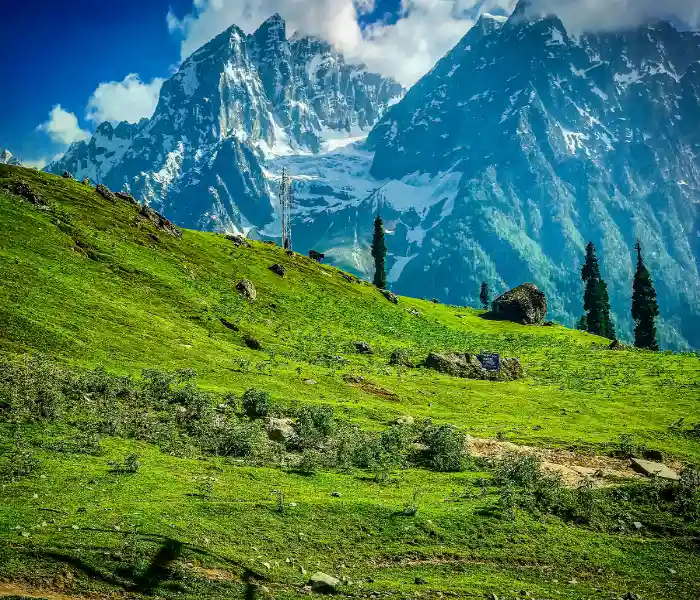 6N/7D Manali & Shimla Package By Volvo