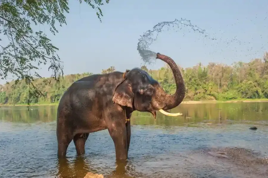 6N/7D KERALA PACKAGE