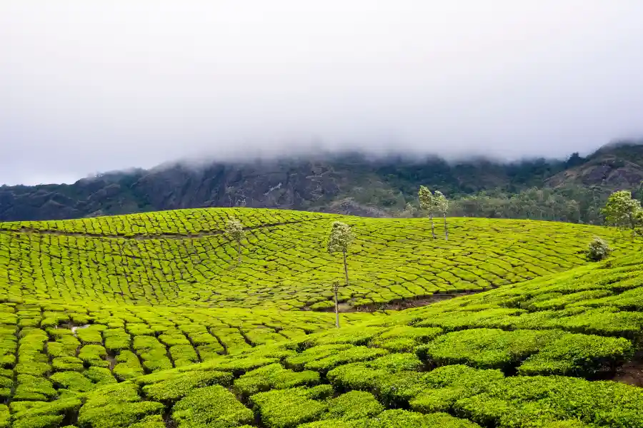 6N/7D KERALA PACKAGE