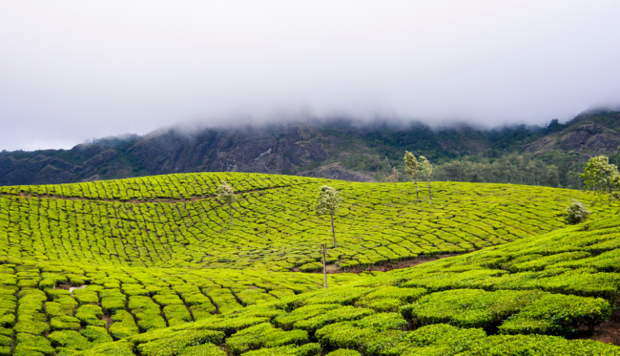 KERALA