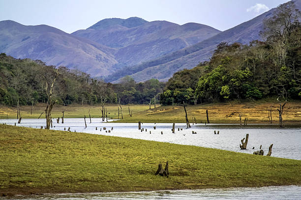 Day 3 : Munnar To Thekkady Home to One of India's Largest Tiger Populations