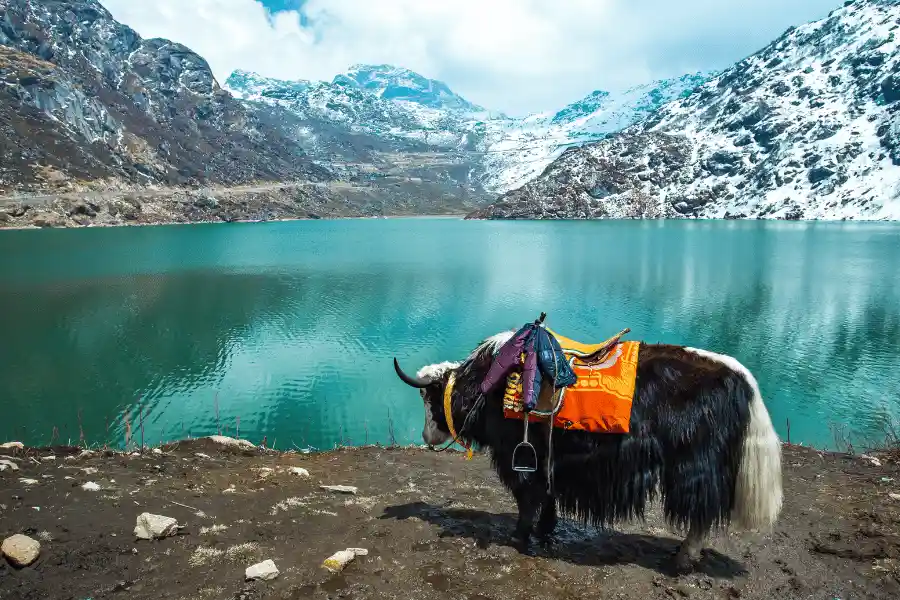 4N/5D Enchanting North East Package