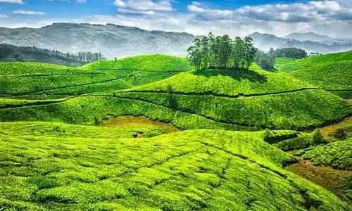 Kerala 4N/5D Group Tour