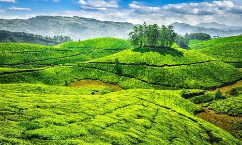Kerala 4N/5D Group Tour