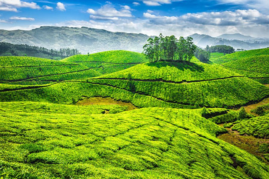 Kerala 4N/5D Group Tour