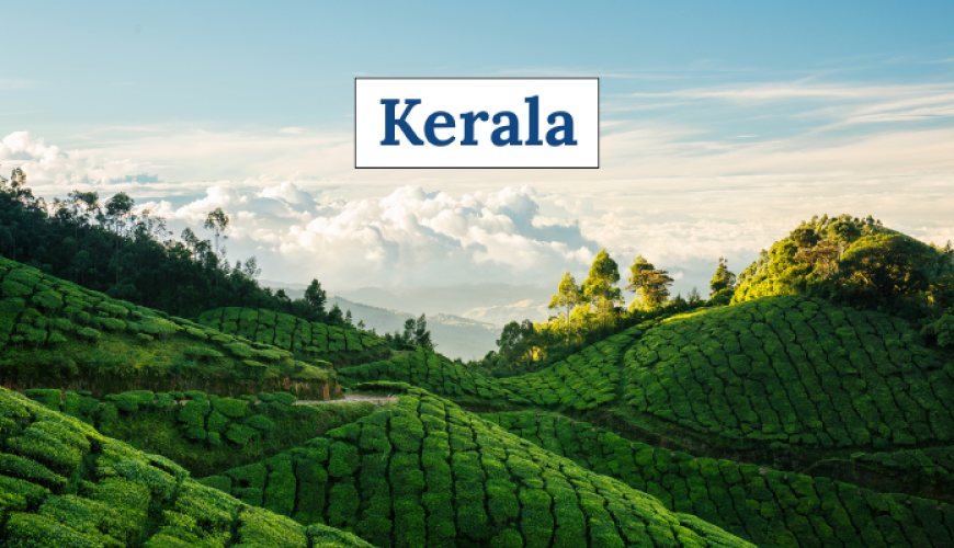 Explore the Best of Kerala in 5 Days: Munnar, Thekkady & Alleppey Tour
