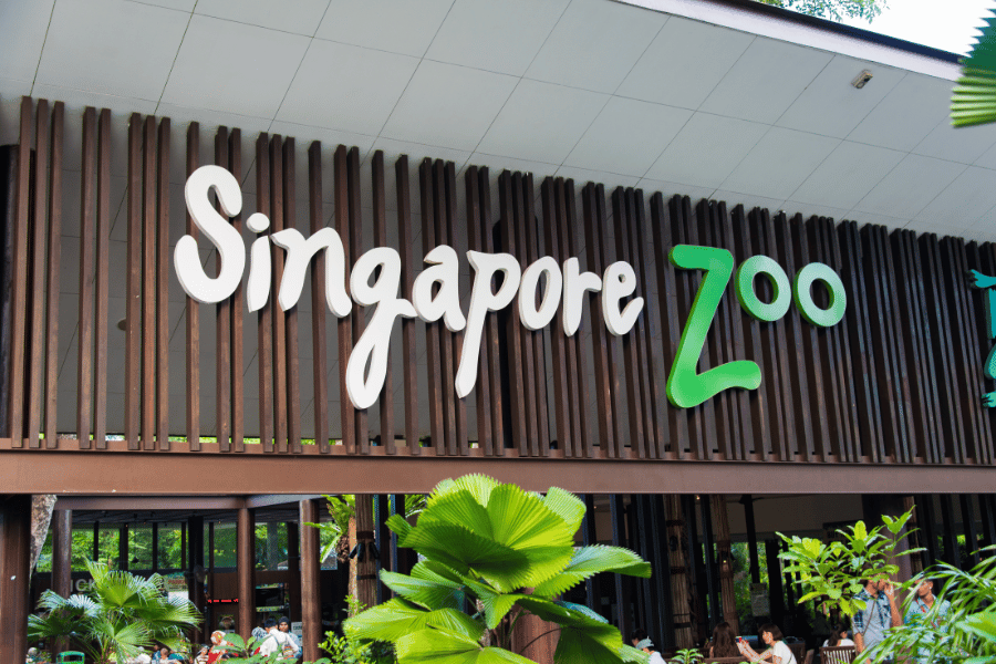 Day 6: Jurong Bird Park / Singapore Zoo + Evening Night Safari