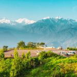 sikkim dargelling package
