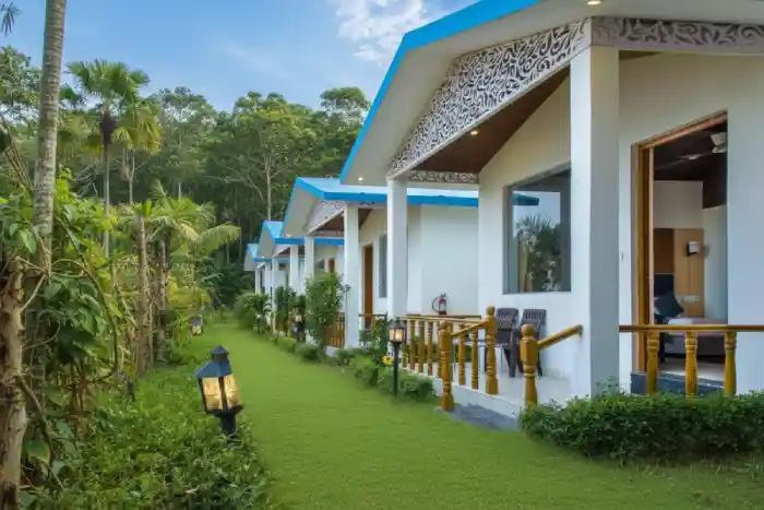 Jim Corbett New Year Celebration – 2N/3D