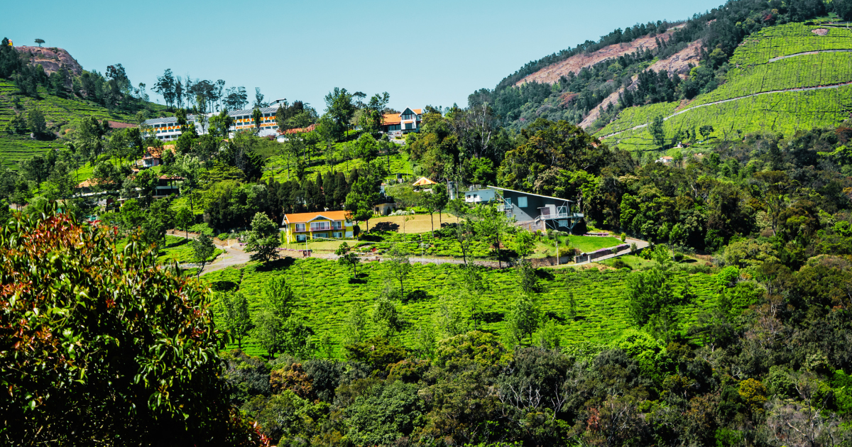 Ooty