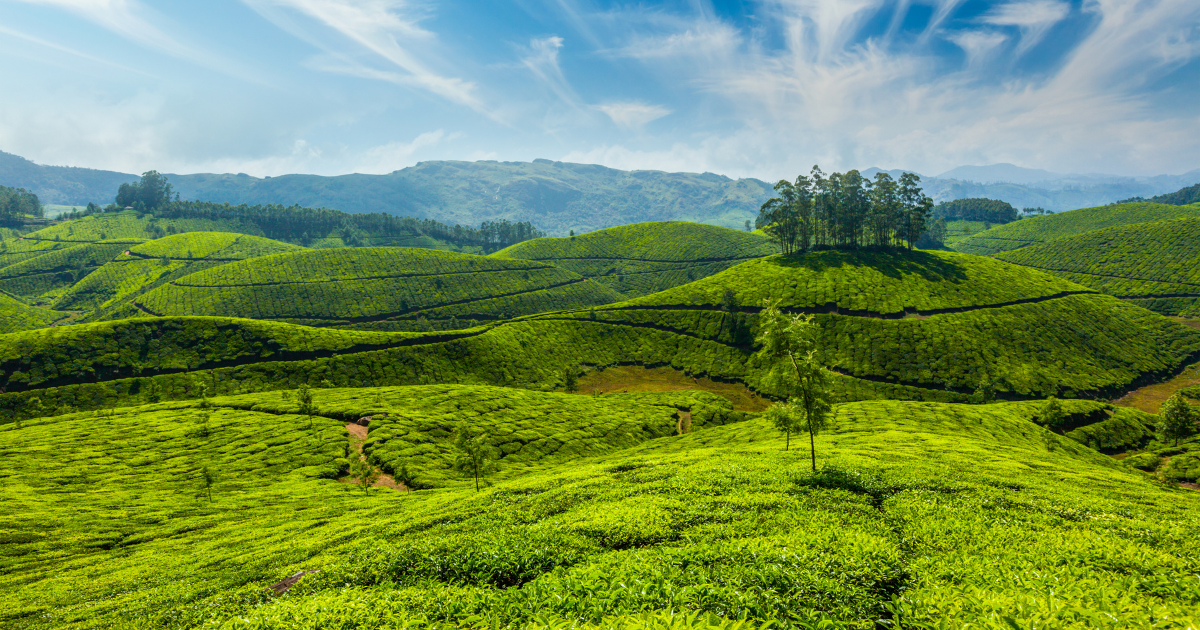 Munnar