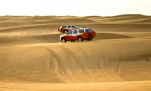 Day 04: Dubai: Desert Safari with BBQ dinner: