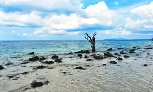  Day 03: Add a bit of adventure to your holiday