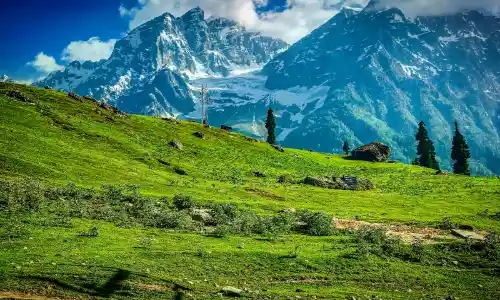 Day 05: Gulmarg To Srinagar (Unveiling the Splendors of Gulmarg)