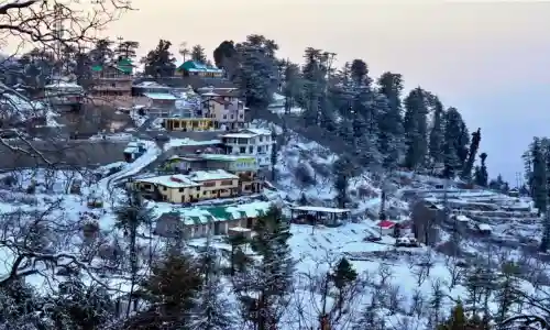 Day 6: Shimla Local + Kufri Sightseeing (Whisper Tales of Scenic Beauty)