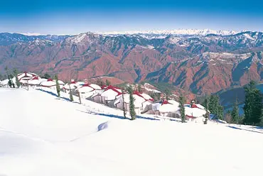 Day 7: Shimla – Delhi / Chandigarh (Cherished Memories and Beyond)