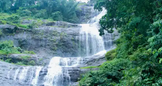 Day 5 : Departure From Kerala