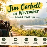 Jim Corbett in November: Weather, Safari Booking & Travel Tips